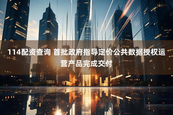 114配资查询 首批政府指导定价公共数据授权运营产品完成交付