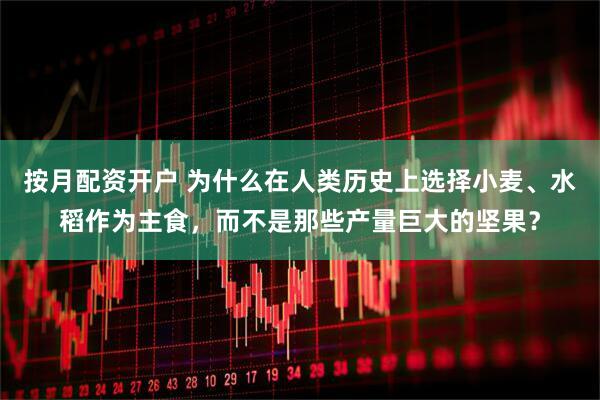 按月配资开户 为什么在人类历史上选择小麦、水稻作为主食，而不是那些产量巨大的坚果？