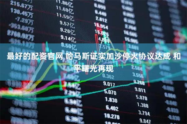 最好的配资官网 哈马斯证实加沙停火协议达成 和平曙光再现