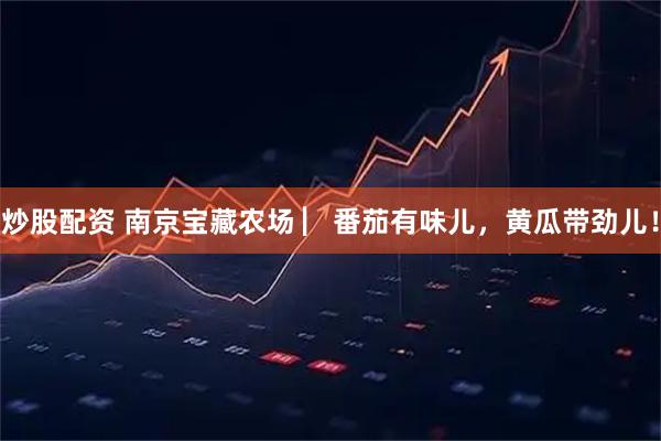 炒股配资 南京宝藏农场 ▏番茄有味儿，黄瓜带劲儿！
